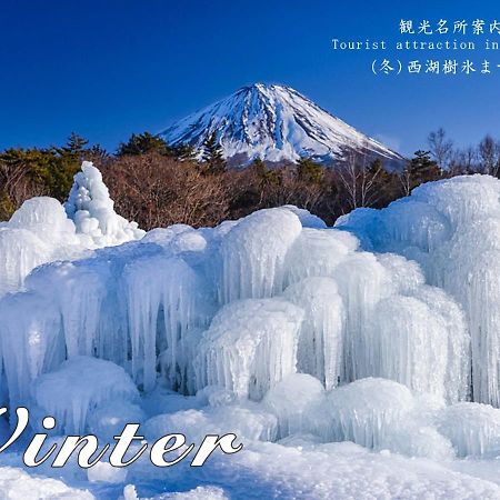 Station Villa Plaisir Mt. Fuji 후지카와구치코 외부 사진