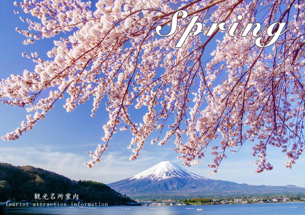 Station Villa Plaisir Mt. Fuji 후지카와구치코 외부 사진